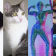 Illustration for article titled iPhone X at Six Months, Janelle Monáes Odyssey, and Cat DNA: The Best Gizmodo Stories of the Week